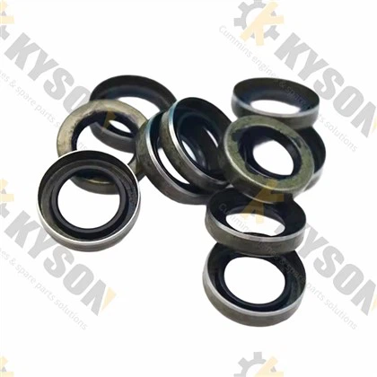 PT dijelovi pumpe za gorivo za Cummins dizel motor brtva za prašinu 3010945